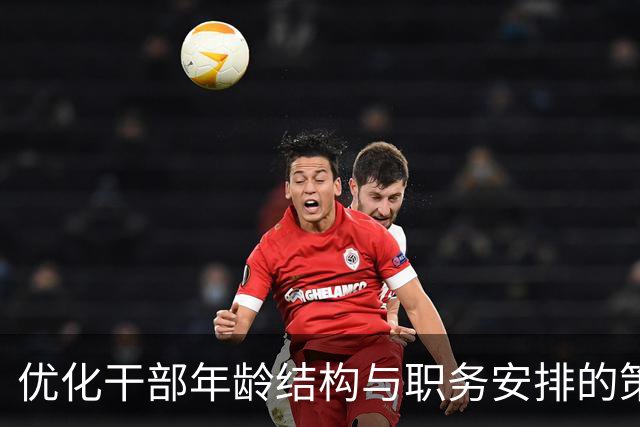 优化干部年龄结构与职务安排的策略研究