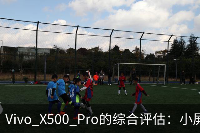 Vivo X500 Pro的综合评估：小屏旗舰的新标杆